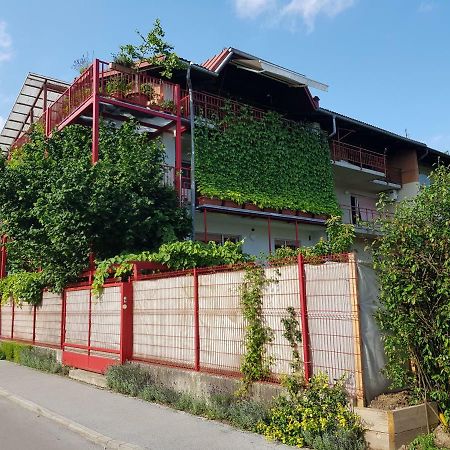 Ljubljana'S Terraceアパートメント エクステリア 写真