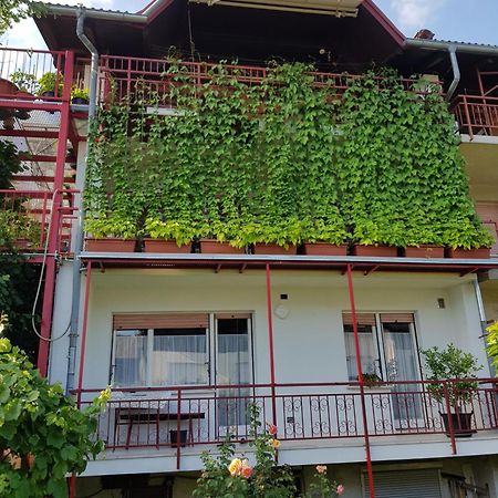 Ljubljana'S Terraceアパートメント エクステリア 写真