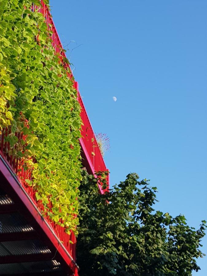 Ljubljana'S Terraceアパートメント エクステリア 写真