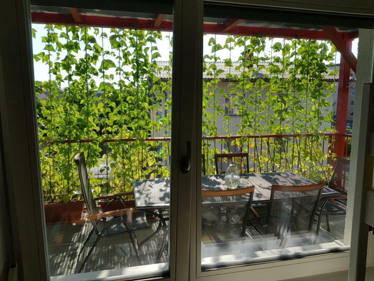 Ljubljana'S Terraceアパートメント エクステリア 写真